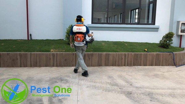 Fendona 10SC hoạt động theo cơ chế tiếp xúc và tồn lưu trên bề mặt sau khi phun