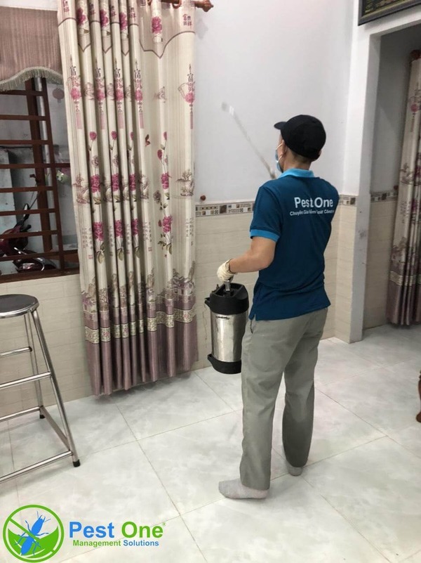 Diệt trừ côn trùng thông thường