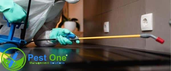 Hình ảnh vệ sinh và diệt gián tại khu vực bếp