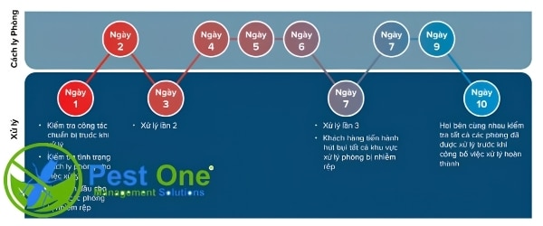Chương trình Kiểm soát Rệp Giường 10-Ngày của Pest One