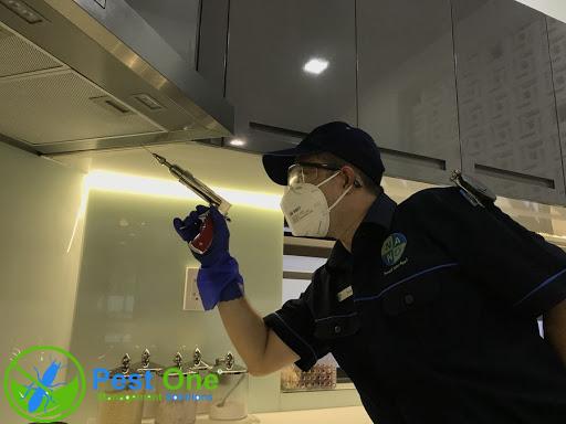 dịch vụ diệt kiến tại tphcm