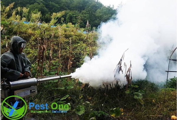 BF150 hoạt động dựa trên nguyên lý tạo khói nhiệt