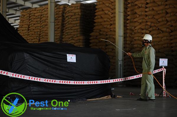 Khử trùng kho và hàng hóa