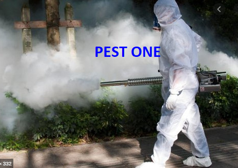 Máy phun khói BF150 diệt côn trùng hiệu quả cao