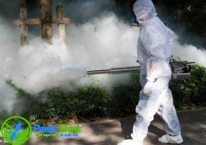 Dịch vụ phun khử trùng diệt khuẩn, diệt côn trùng tại Pest One