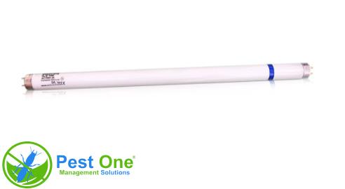 Bóng Philips 15w chống vỡ 1 Bóng đèn diệt côn trùng Philips 15w chống vỡ