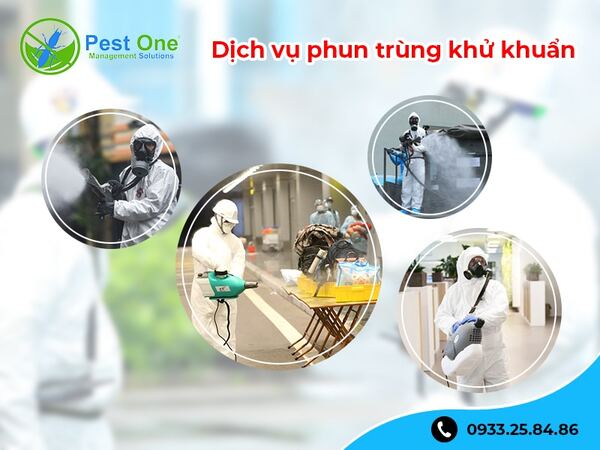 Dịch vụ phun khử trùng diệt khuẩn uy tín tại TP.HCM