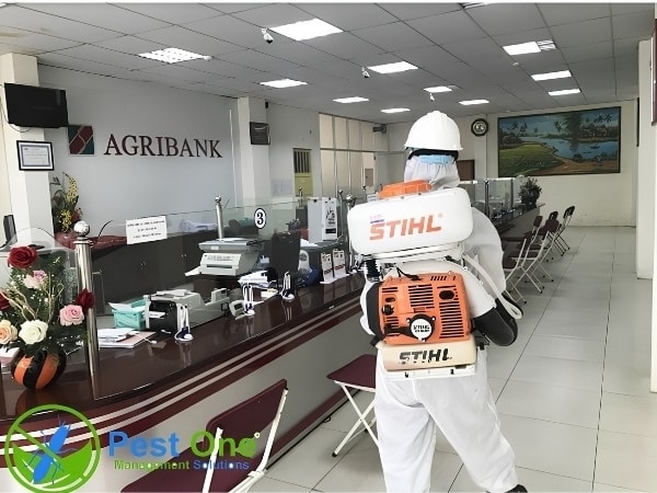 Phun khử trùng diệt khuẩn tại công ty