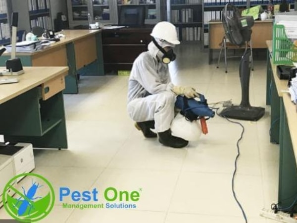 Quy trình phun khử trùng diệt khuẩn chuyên nghiệp
