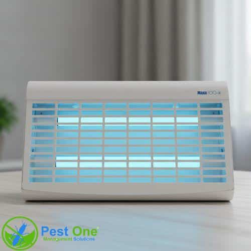 Den-diet-con-trung-Maxx-100-–-X