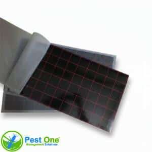 Keo đèn bẫy côn trùng 42.5x24.5cm