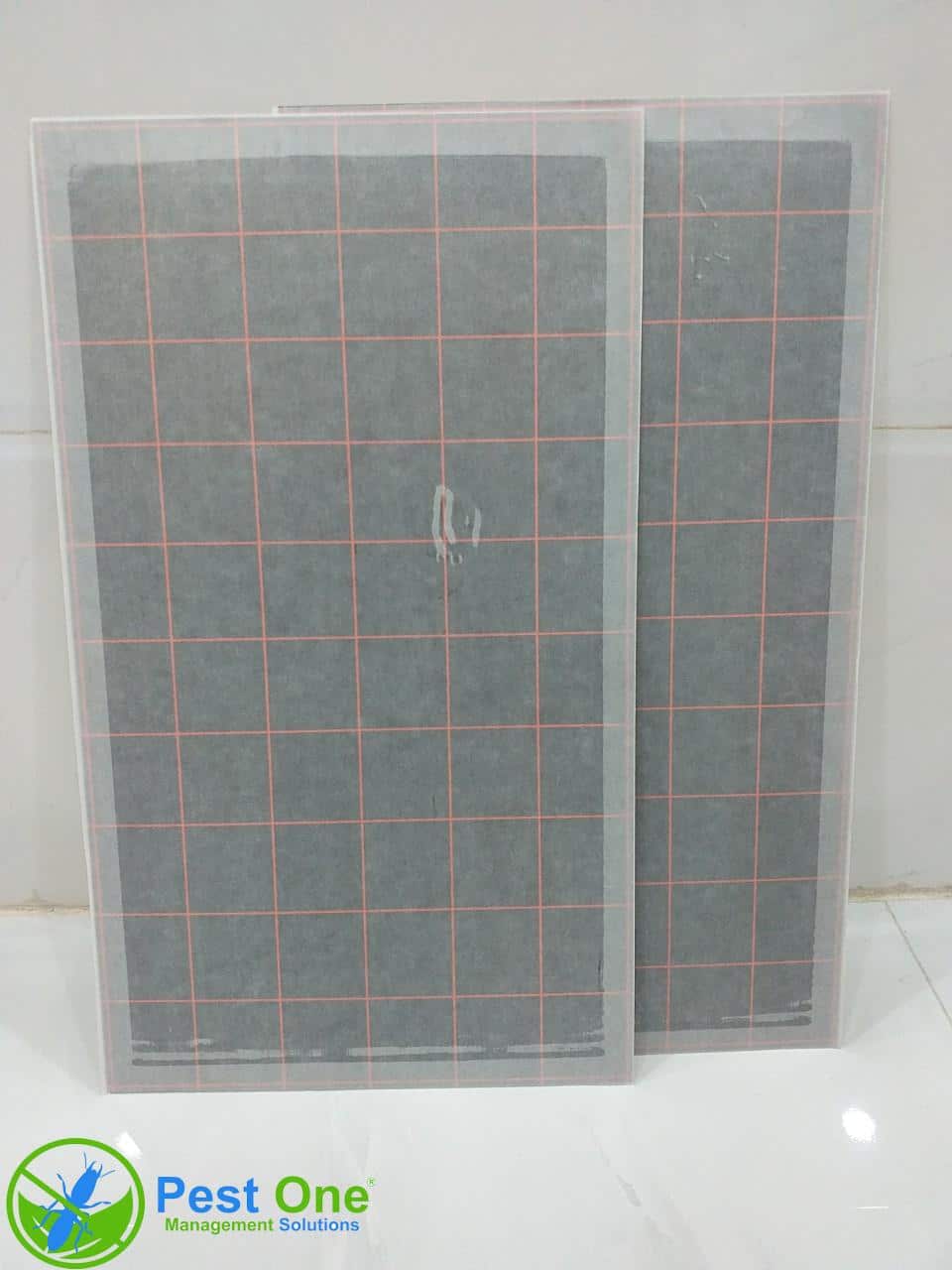 ba59a8bac70720597916