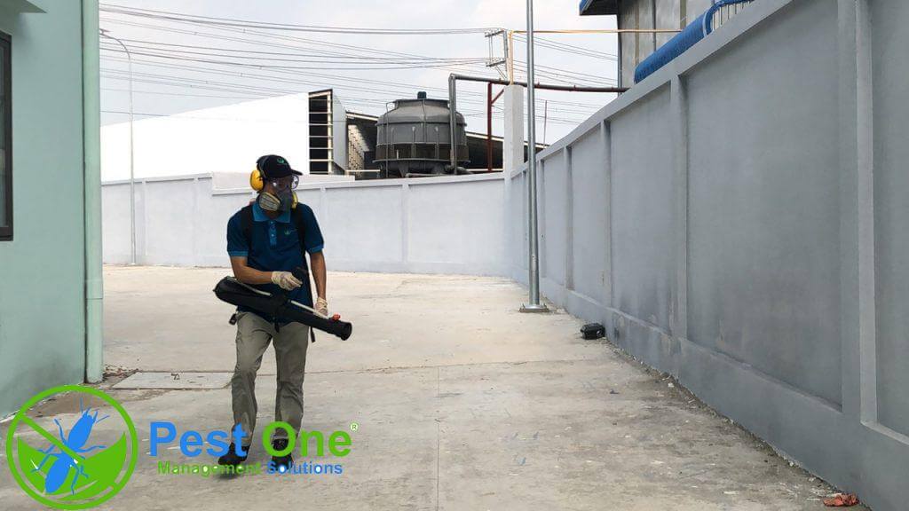 nhà máy doanh nghiệp thực phẩm