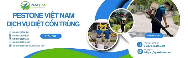 Dịch vụ kiểm soát côn trùng cho nhà máy thực phẩm của PEST ONE