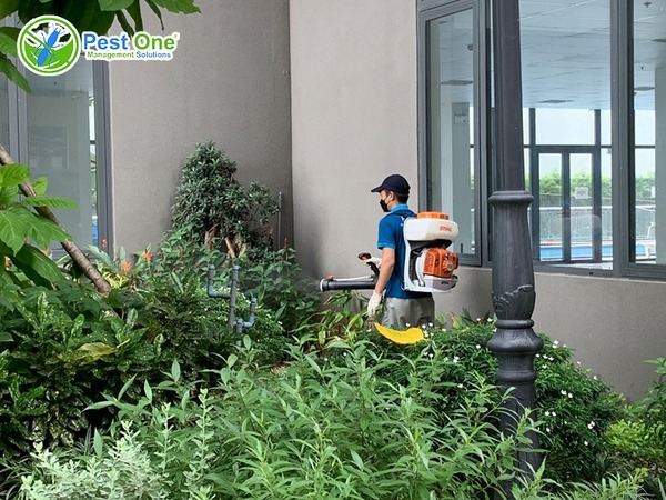 Nên thuê dịch vụ phun thuốc diệt muỗi khi nhà ở hoặc khuôn viên có diện tích lớn
