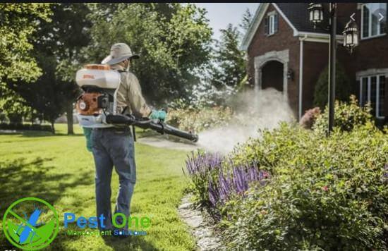 Phun thuốc diệt muỗi tại nhà