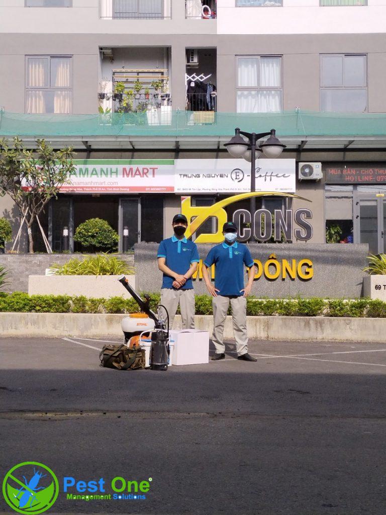 Dịch vụ phun diệt côn trùng