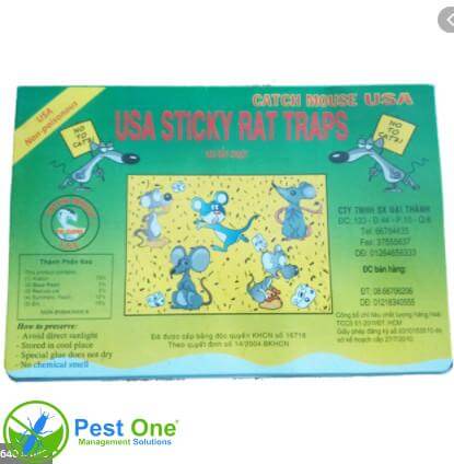Keo bẫy chuột Catch Mouse USA 1 Keo bẫy chuột Catch Mouse USA 1