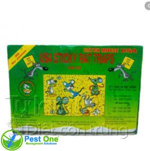 Keo bẫy chuột Catch Mouse USA