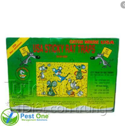 Keo bẫy chuột Catch Mouse USA Keo bẫy chuột Catch Mouse USA