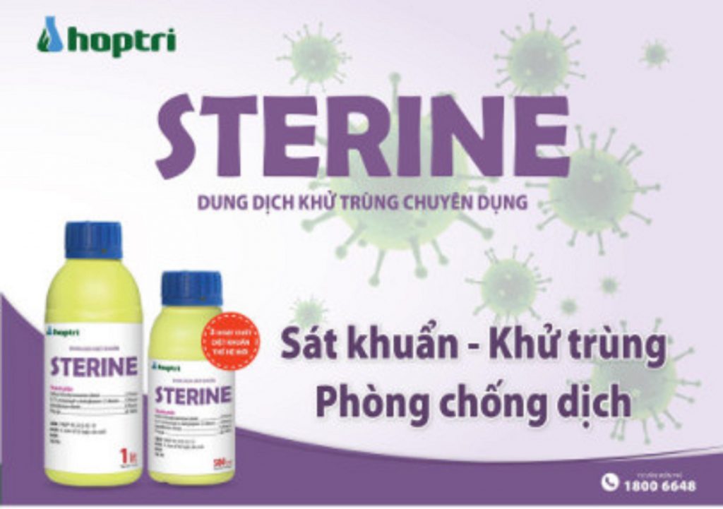  Thuốc diệt khuẩn khử trùng Sterine 500ml phòng dịch