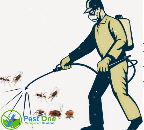 10 loại côn trùng gây hại cần phải xử lý ngay