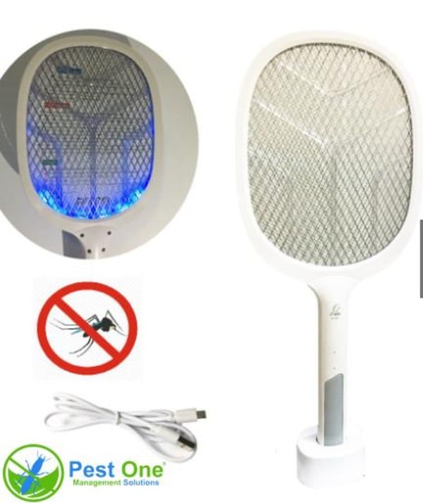 Dùng vợt bắt muỗi để diệt kiến ba khoang