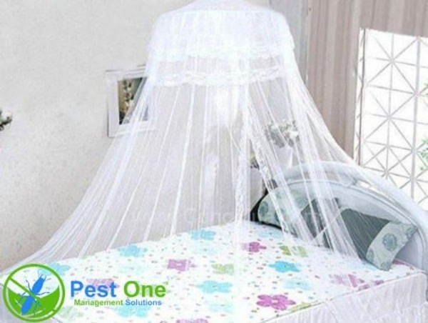 Mắc màn khi ngủ