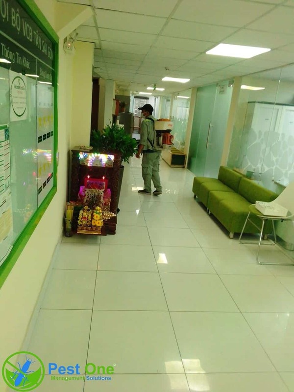 Nên sử dụng dịch vụ kiểm soát côn trùng khi phương pháp tự nhiên không hiệu quả