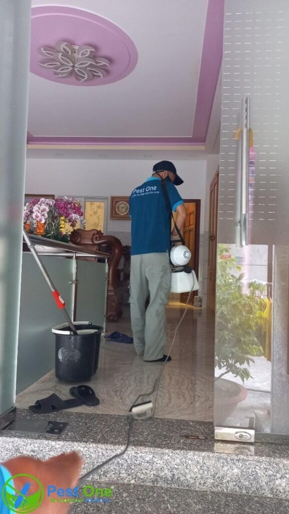 Pest One cung cấp dịch vụ kiểm soát côn trùng cho nhà riêng gia đình giá tốt