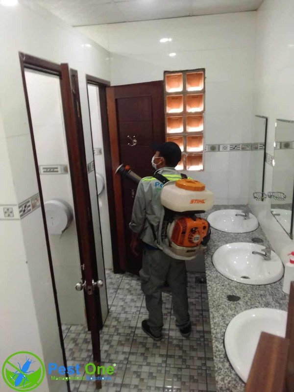 Dịch vụ kiểm soát côn trùng cho nhà ở từng ngóc, ngách, nhà vệ sinh