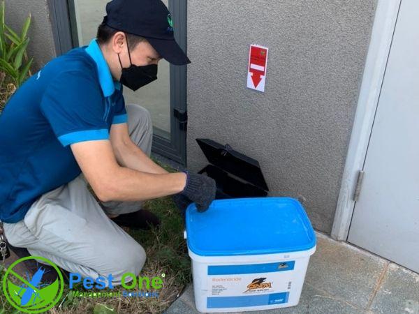 Có nhiều yếu tố ảnh hưởng đến giá dịch vụ diệt chuột