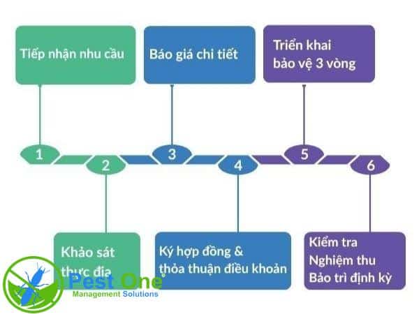 Quy trình làm việc của công ty diệt côn trùng PESTONE