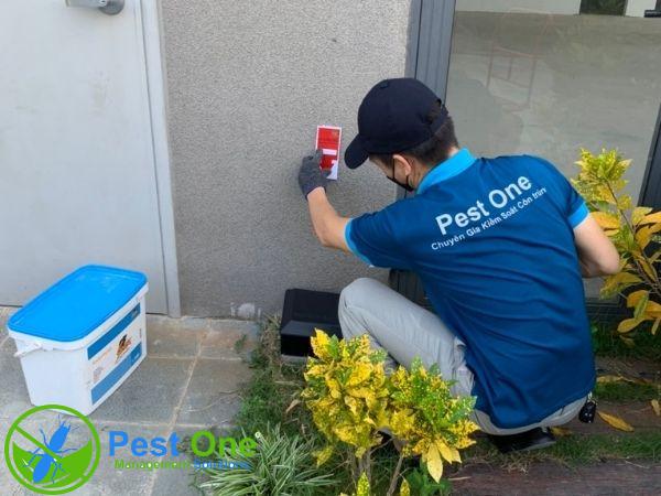 Công ty cung cấp dịch vụ diệt chuột an toàn, hiệu quả