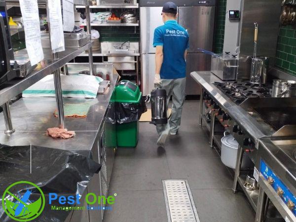 Diệt chuột cho nhà hàng, khách sạn