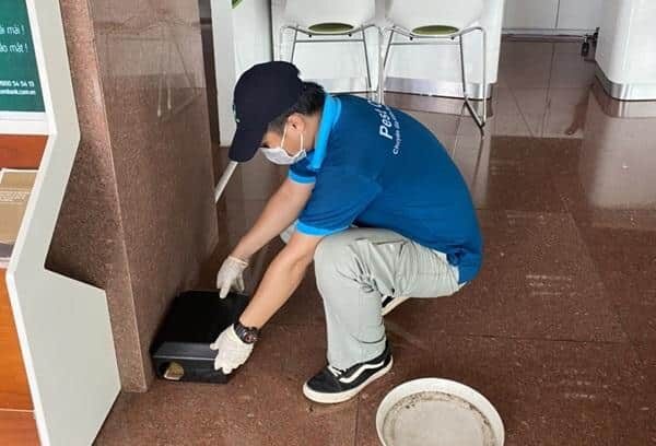 Nhân viên dịch vụ đặt hộp bả diệt chuột tại văn phòng, công ty
