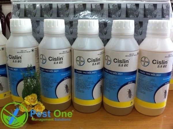 Thuốc diệt mối mọt Cislin 2.5 Ec