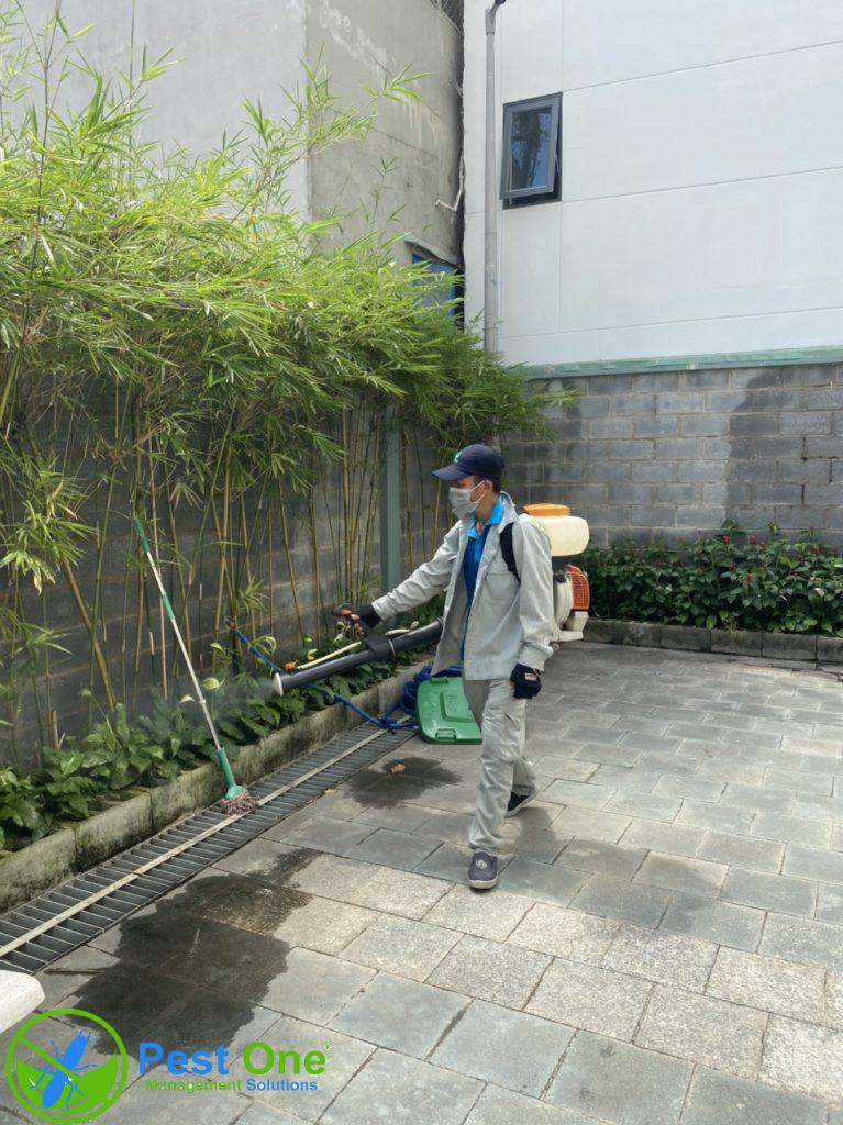 Dịch vụ phun diệt muỗi tại TPHCM