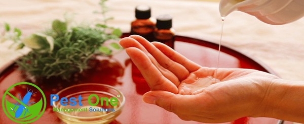 Cách diệt côn trùng bằng tinh dầu sả chanh tự nhiên tại nhà
