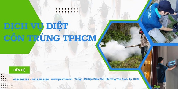 Dịch vụ diệt côn trùng Pest One Việt Nam uy tín tại nhà và doanh nghiệp