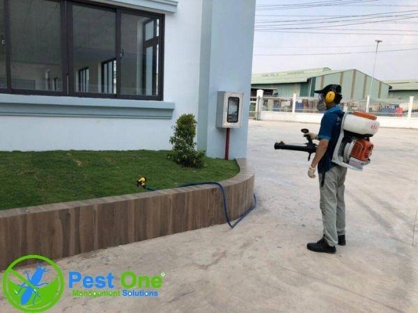 Một số lưu ý khi phun thuốc diệt muỗi tại nhà