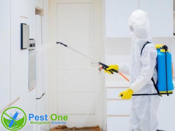 Kỹ thuật phun thuốc diệt muỗi an toàn