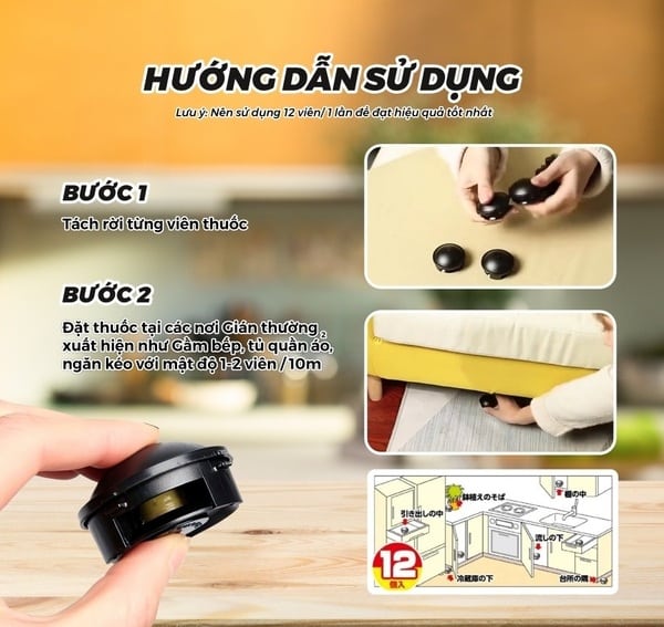 Hướng dẫn cách sử dụng thuốc diệt gián Nhật hiệu quả nhất