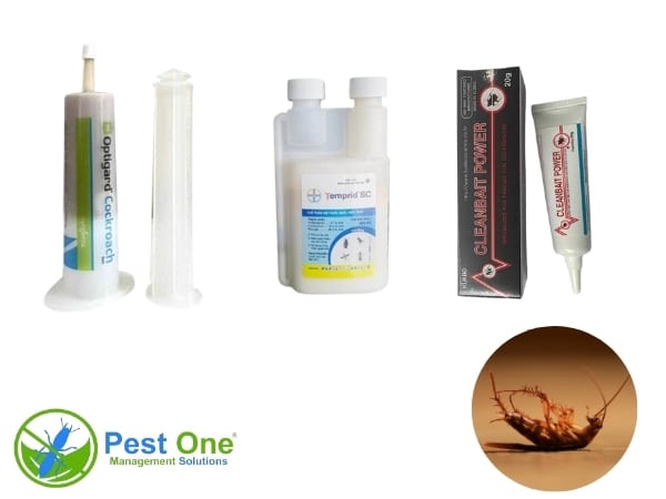 Pest One là địa điểm mua thuốc diệt gián uy tín