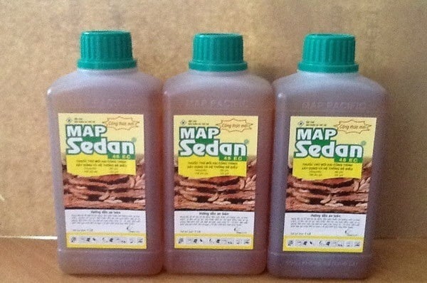 Tìm hiểu về nơi mua thuốc diệt mối ở đâu uy tín, an toàn