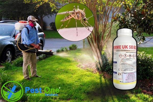 Thuốc diệt muỗi Perme UK 50EC là gì?