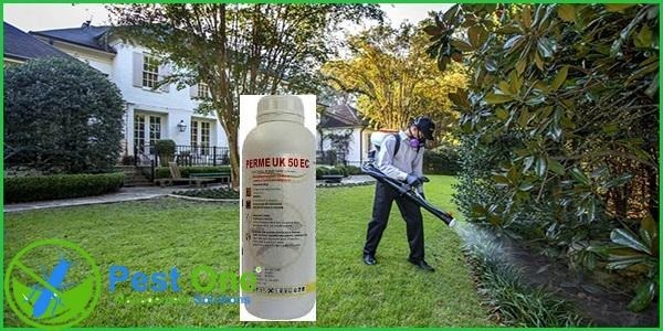 Thuốc diệt muỗi Anh Quốc được đánh giá cao nhờ khả năng tiêu diệt nhanh
