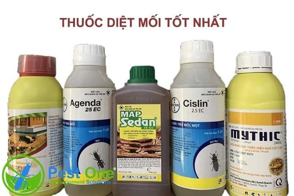 Gợi ý danh sách các loại thuốc diệt mối được sử dụng nhiều hiện nay