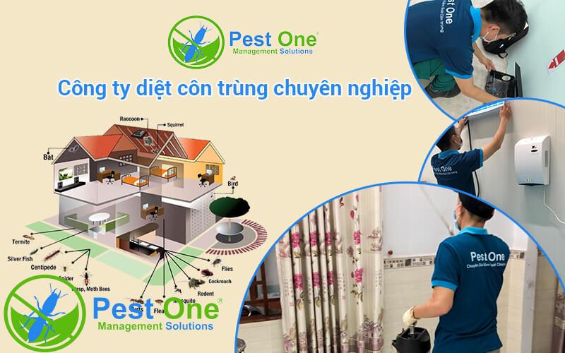 DỊCH VỤ DIỆT MỌT KHỬ TRÙNG KHO, PHUN THUỐC DIỆT CÔN TRÙNG KHO TẠI TpHCM