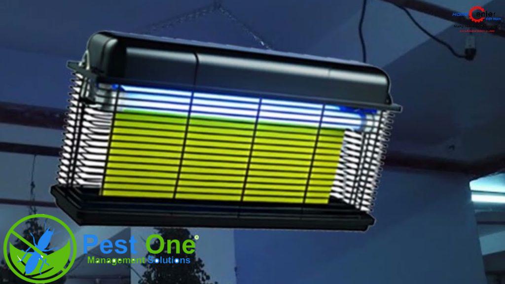 đèn diệt côn trùng keo dính